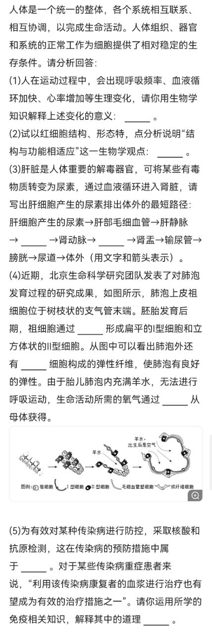 全面掌握百度SEO优化技巧：从入门到精通的详细教程 (全面掌握英语怎么说)