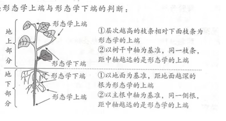 百度教育
