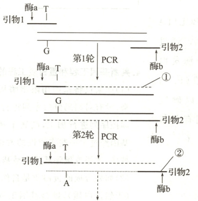 百度教育